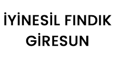 İyinesil Fındık